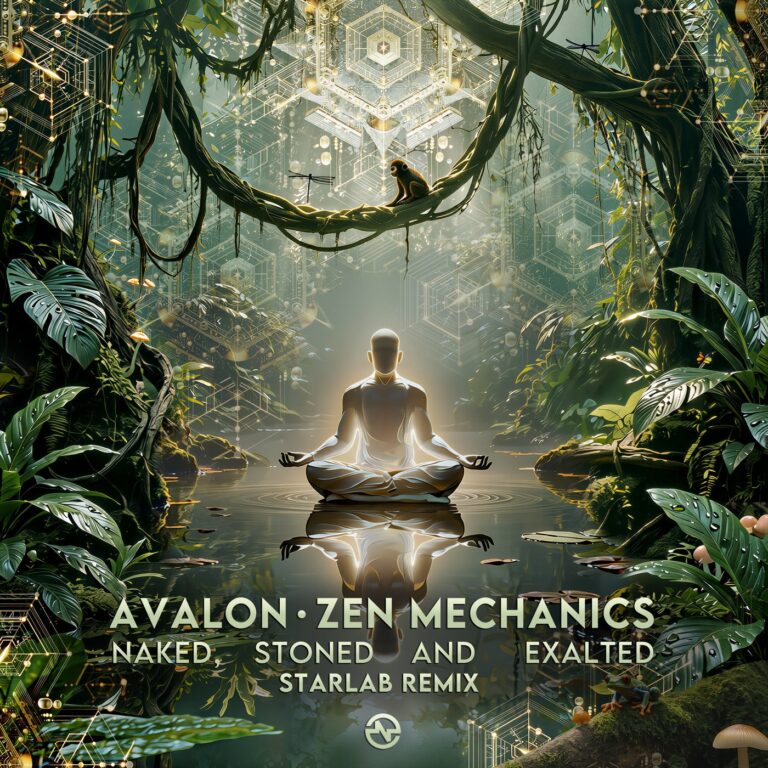 Zen Mechanics, Avalon – Naked, Stoned and Exalted (Starlab Remix) on Nano Records — cover
